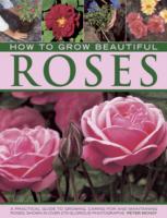 How to Grow Beautiful Roses