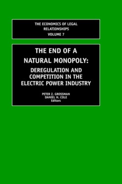 End of a Natural Monopoly: Deregulation and Competition in the Electric Power Industry