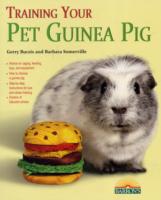 Training Your Guinea Pig