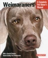 Weimaraners