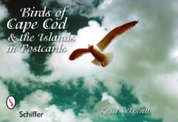 Birds of Cape Cod & the Islands in Postcards