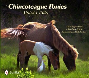 Chincoteague Ponies