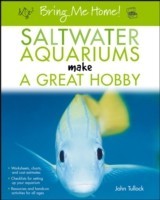 Saltwater Aquariums Make a Great Hobby