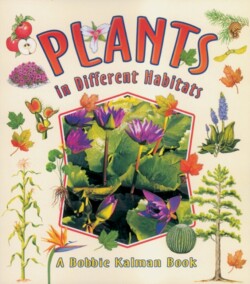 Plants in Different Habitats