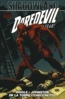 Shadowland: Daredevil