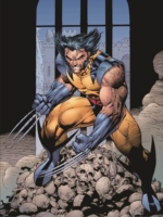 Essential Wolverine