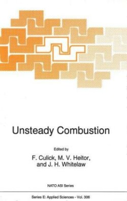 Unsteady Combustion