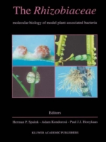 Rhizobiaceae
