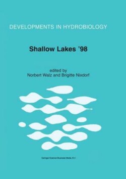 Shallow Lakes ’98
