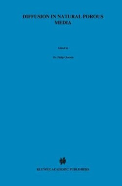 Diffusion in Natural Porous Media
