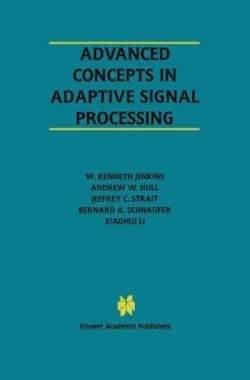 Advanced Concepts in Adaptive Signal Processing