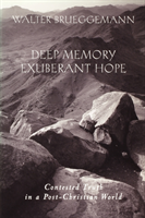 Deep Memory, Exuberant Hope