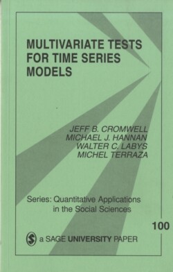 Multivariate Tests for Time Series Models