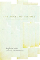 Angel of History