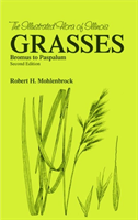 Grasses  Bromus to Paspaulum