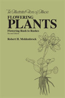 Flowering Plants: Flowering Rush to Rushes