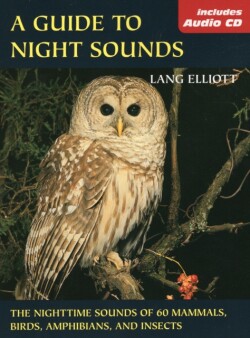 Guide to Night Sounds