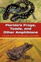 Florida's Frogs, Toads, and Other Amphibians