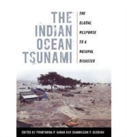 Indian Ocean Tsunami