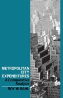 Metropolitan City Expenditures