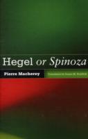 Hegel or Spinoza