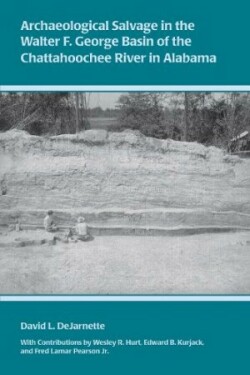 Archaeological Salvage in the Walter F. George Basin of the Chattahoochee River
