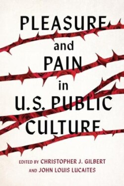 Pleasure and Pain in US Public Culture