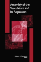 Assembly of the Vasculature and Its Regulation