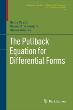 Pullback Equation for Differential Forms