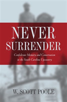 Never Surrender