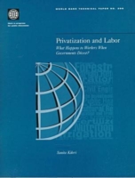 Privatization and Labor
