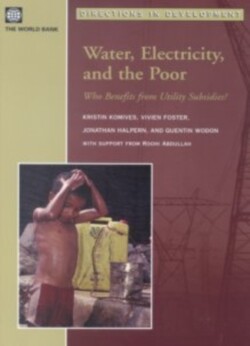 Water, Electricity, and the Poor
