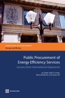 Public Procurement of Energy Efficiency Services
