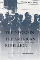 The Negro in the American Rebellion