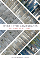 Epigenetic Landscapes