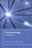 Phenomenology