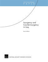 Insurgency and Counterinsurgency in Iraq