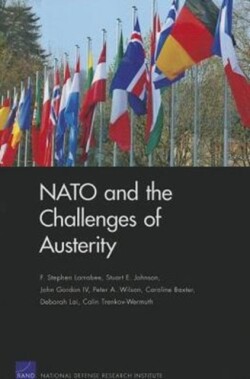 NATO and the Challenges of Austerity