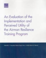 Evaluation of the Implementation and Perceived Utility of the Airman Resilience Training Program