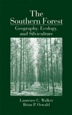Southern Forest