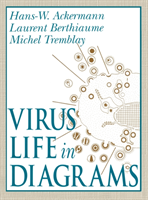 Virus Life in Diagrams