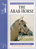 Arab Horse
