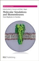 Molecular Simulations and Biomembranes