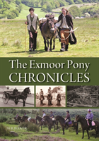 Exmoor Pony Chronicles