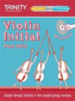 Small Group Tracks: Violin Initial