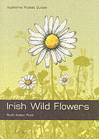 Irish Wild Flowers