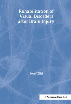 Rehabilitation of Visual Disorders After Brain Injury