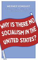 Why is There No Socialism In the United States
