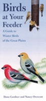 Birds at Your Feeder