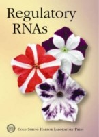 Regulatory RNAs